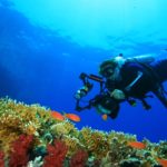 Coral reef, tropical fish and scuba diver with a big camera
